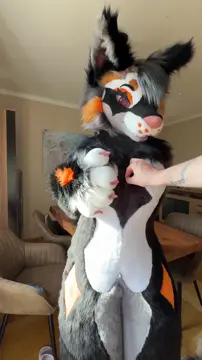 Maybe you should check out what's inside the fursuit before saying no~