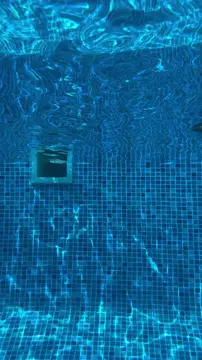 What they look lìke underwater