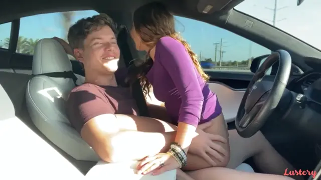Every Tesla car owner as soon as they have one